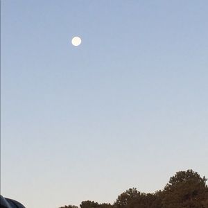 Meet your Posher, Jin